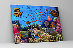 Obraz Morské živočíchy 1376